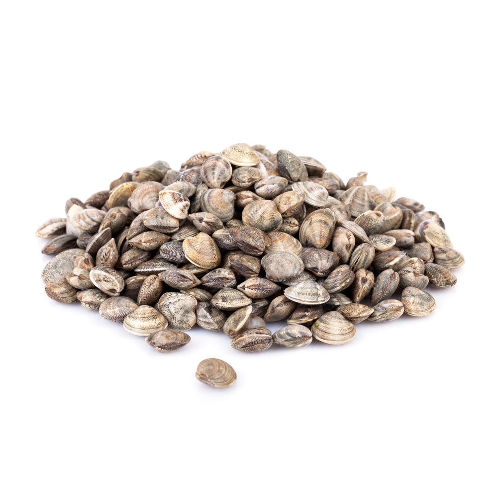 VONGOLE LUPINI